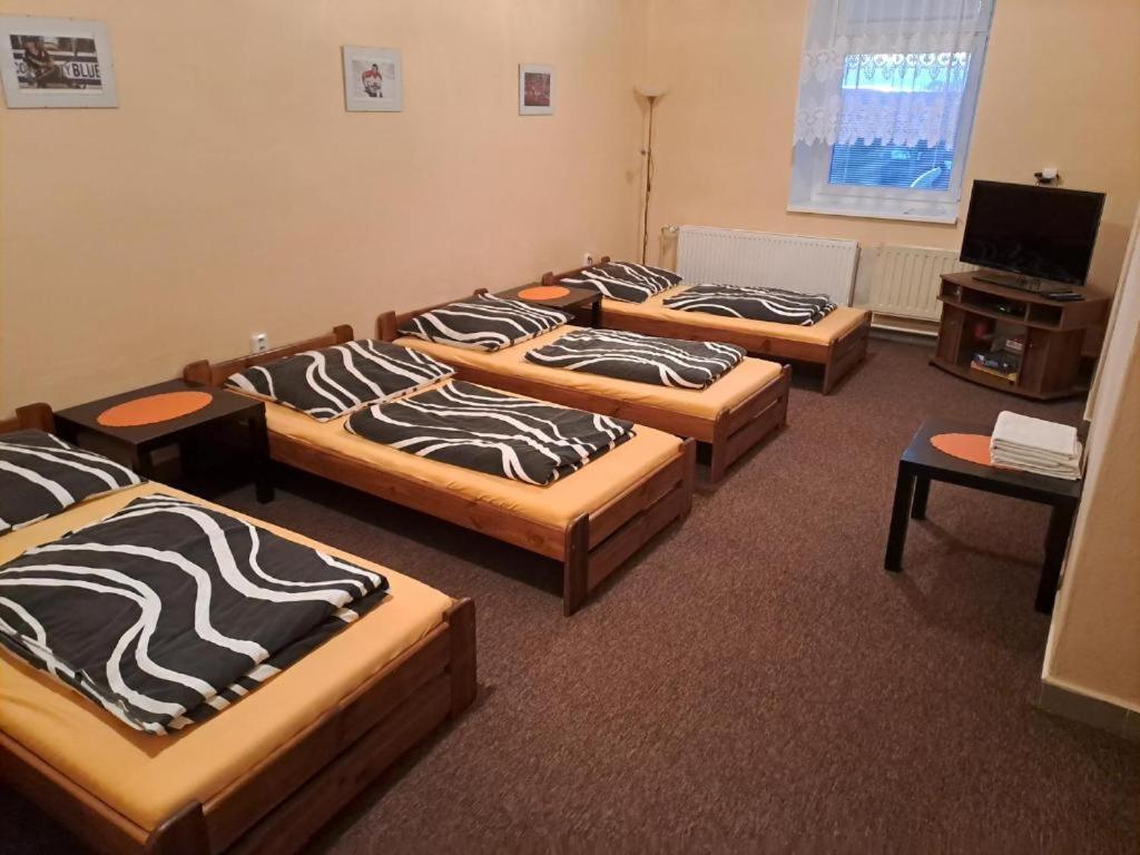 Homestay Ubytovani, Straznice